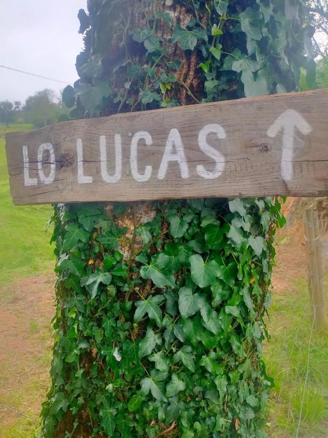 Vivienda Pasiega Lo Lucas 1920 San Roque de Riomiera ภายนอก รูปภาพ